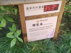 -张家港金凤凰度假村温泉