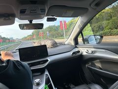 -宠福鑫康馨动物医院·骨科·眼科