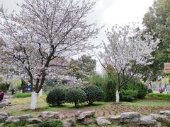 -堤角公园