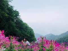 -广州市石门国家森林公园