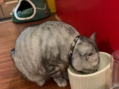 -H立方实景剧情密室(天河旗舰店)
