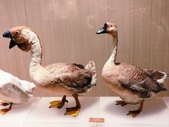 -中国农业博物馆