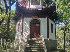 -上海佘山国家森林公园天马山园