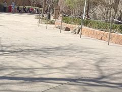 -北京欢乐谷