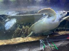 -南昌融创海世界
