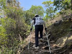 -羚羊峡古栈道森林公园