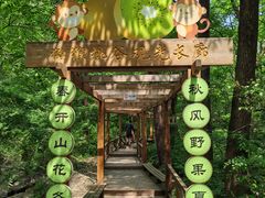 -大岭沟猕猴桃谷风景区