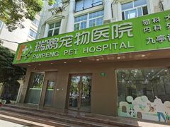 -瑞鹏宠物医院·骨外科·心肾科·肿瘤科(九亭店)
