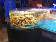 -徐记海鲜(大雁塔|金都店)