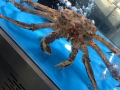 -麦德龙(郑东店)