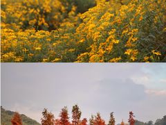 -广州市石门国家森林公园