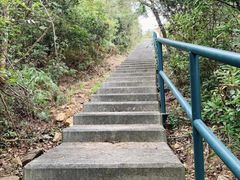 -南丫岛