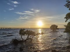 -宝安西湾红树林湿地公园