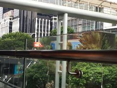 -金戈戈香港豉油鸡(皇庭广场店)