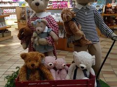 -济州岛泰迪熊博物馆