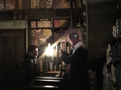 -哈利波特魔法世界
