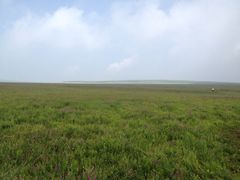 iphone_upload_pic-空中草原