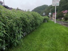 -斯瑞特国际酒店