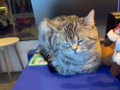 -神盾局科技密室(永川万达广场店)