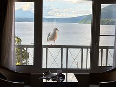 -洞爷湖万世阁酒店