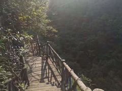 -千岛湖石林