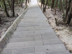 -银瓶嘴森林公园