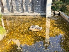 -法云安缦酒店