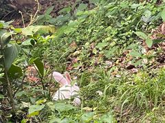 -珞珈山-售票处