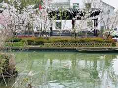 -同里国家湿地公园