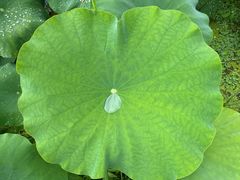 -古田会议纪念馆