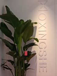 -魔型社烫染店