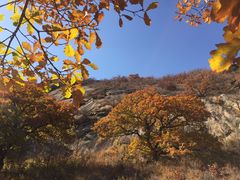 -克什克腾世界地质公园青山景区