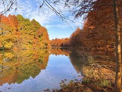 -上海海湾国家森林公园