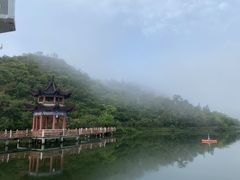 -永州阳明山国家森林公园