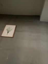 -罗亚帝·NASHOW纳秀形象设计