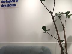 -天真蓝照相馆(杭州滨江宝龙店)