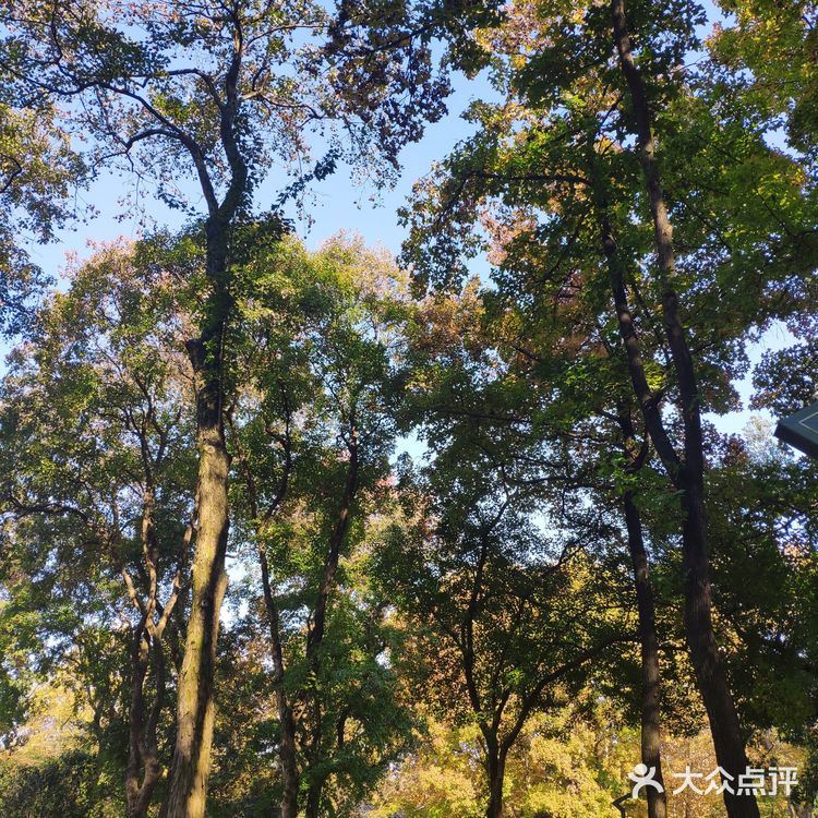 烈士公园原来可以这么美[亲亲]