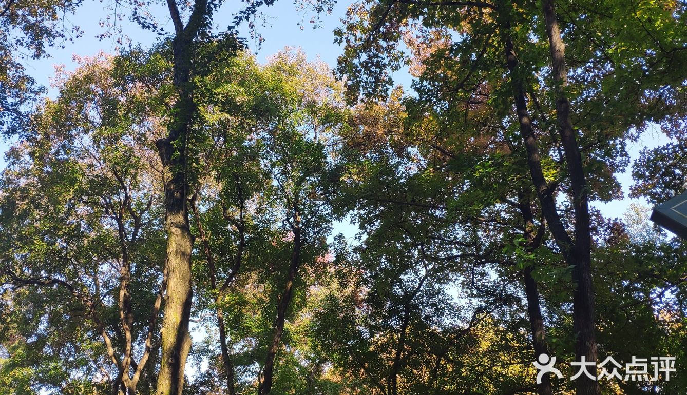 烈士公园原来可以这么美[亲亲]