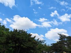 -二一九公园