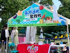 -三垟湿地