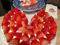 -O'eat Blossom&Pelican(深圳首店)
