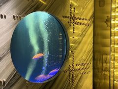 -莉莉海堂HAITANG·烤鸭(国贸商城店)