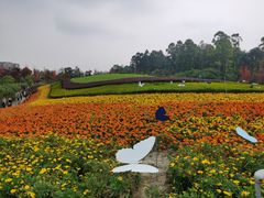-天府芙蓉园