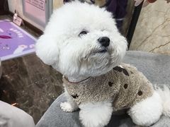 -宠爱国际动物医院·消化内科·心肾内科·ISFM猫友好(望京店)