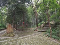 -杭州黄龙洞