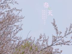 -上海辰山植物园