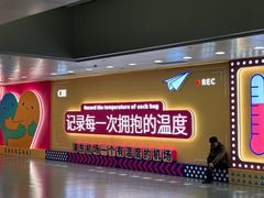 -上海浦东国际机场-T2航站楼