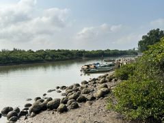 -东寨港红树林旅游区