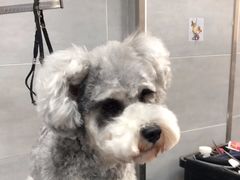 -宠福鑫康馨动物医院·骨科·眼科