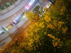 -当当书店(国泰广场店)